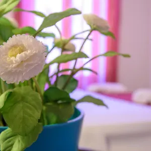 https://housestation.palermohotels.org